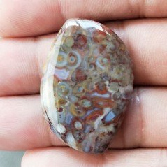 Agata Radice di Palma Naturale Forma Fantasia Piatto Cabochon Liscio Fatto a Mano 34X24mm 7.36gm 1pz