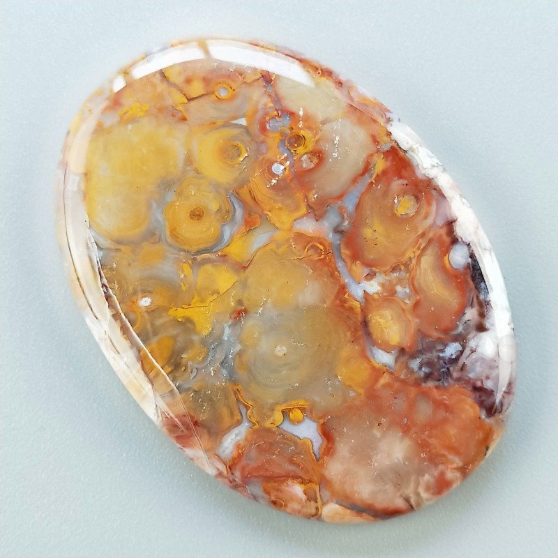 Agata Radice di Palma Naturale Forma Ovale Piatto Cabochon Liscio Fatto a Mano 46X33mm 14.52gm 1pz
