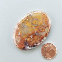 Agata Radice di Palma Naturale Forma Ovale Piatto Cabochon Liscio Fatto a Mano 46X33mm 14.52gm 1pz