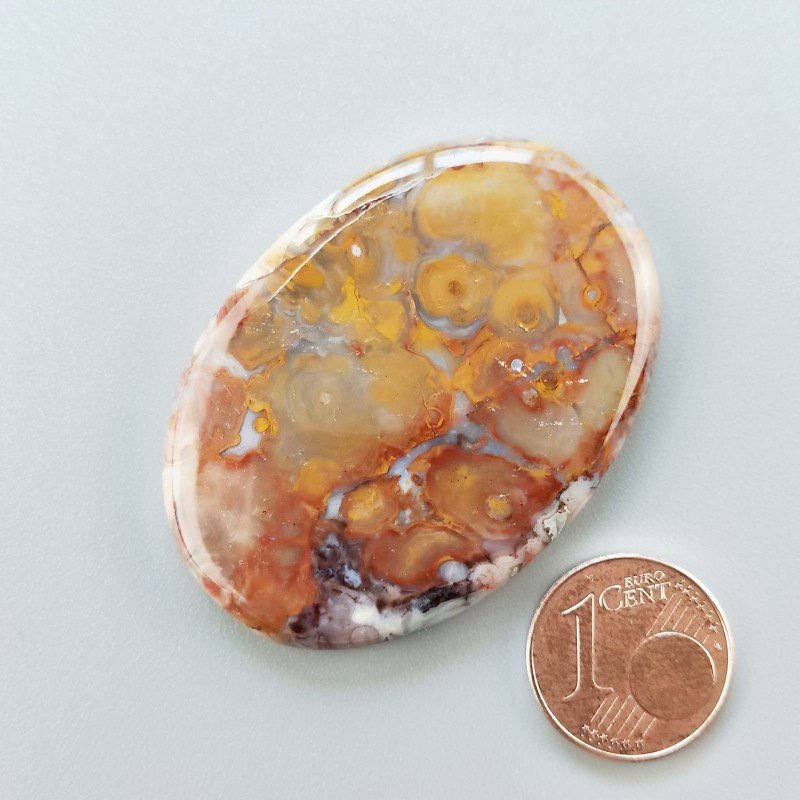 Agata Radice di Palma Naturale Forma Ovale Piatto Cabochon Liscio Fatto a Mano 46X33mm 14.52gm 1pz