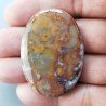 Agata Radice di Palma Naturale Forma Ovale Piatto Cabochon Liscio Fatto a Mano 46X33mm 14.52gm 1pz