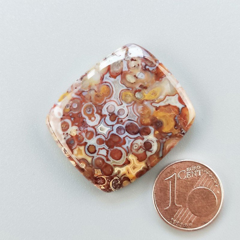 Agata Radice di Palma Naturale Forma Goccia Piatto Cabochon Liscio Fatto a Mano 31X27mm 9.38gm 1pz