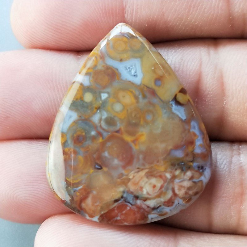 Agata Radice di Palma Naturale Forma Goccia Piatto Cabochon Liscio Fatto a Mano 34X28mm 6.88gm 1pz