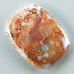 Agata Radice di Palma Naturale Forma Cuscino Piatto Cabochon Liscio Fatto a Mano 31X23mm 7.70gm 1pz