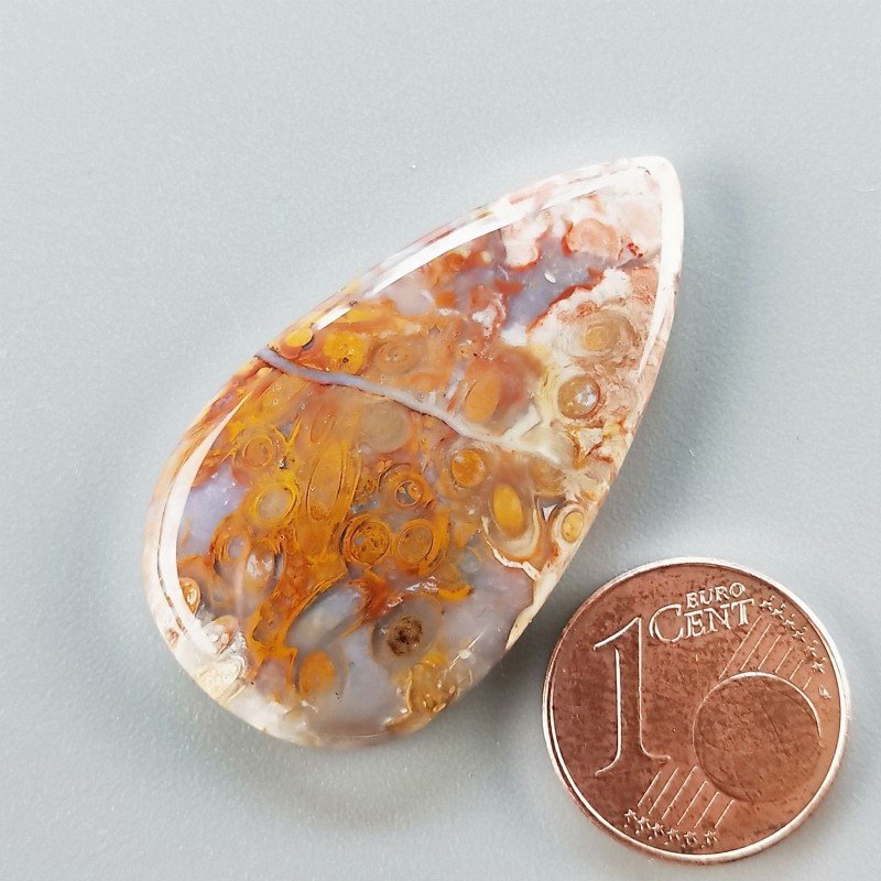Agata Radice di Palma Naturale Forma Goccia Piatto Cabochon Liscio Fatto a Mano 38X21mm 6.82gm 1pz