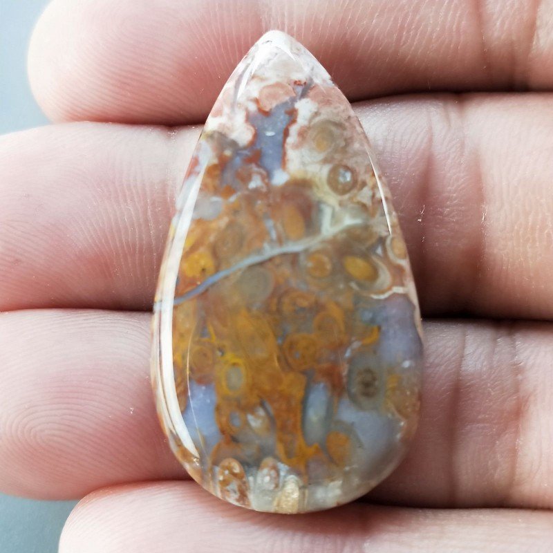 Agata Radice di Palma Naturale Forma Goccia Piatto Cabochon Liscio Fatto a Mano 38X21mm 6.82gm 1pz