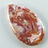 Agata Radice di Palma Naturale Forma Goccia Piatto Cabochon Liscio Fatto a Mano 38X23mm 7.49gm 1pz