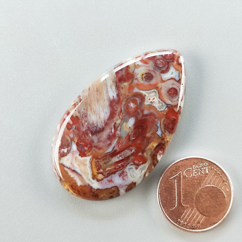 Agata Radice di Palma Naturale Forma Goccia Piatto Cabochon Liscio Fatto a Mano 38X23mm 7.49gm 1pz