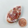 Agata Radice di Palma Naturale Forma Goccia Piatto Cabochon Liscio Fatto a Mano 38X23mm 7.49gm 1pz
