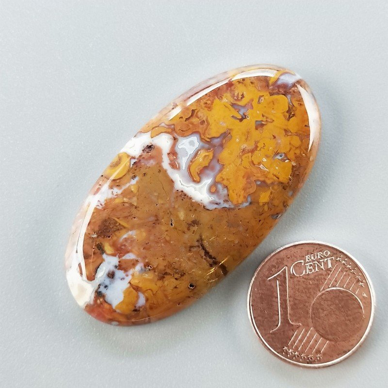 Cabochon di Agata Radice di Palma Naturale Ovale, Piatto e Liscio, 41x21 mm, 7,82 g, Fatto a Mano