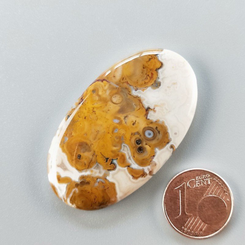 Agata Radice di Palma Naturale Forma Ovale Piatto Cabochon Liscio Fatto a Mano 43X25mm 10.89gm 1pz Agata Radice di Palma Naturale Forma Ovale Piatto Cabochon Liscio Fatto a Mano 43X25mm 10.89gm 1pz