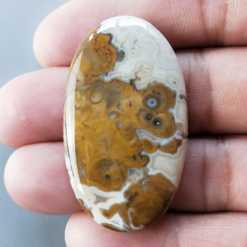 Agata Radice di Palma Naturale Forma Ovale Piatto Cabochon Liscio Fatto a Mano 43X25mm 10.89gm 1pz Agata Radice di Palma Naturale Forma Ovale Piatto Cabochon Liscio Fatto a Mano 43X25mm 10.89gm 1pz