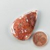 Agata Radice di Palma Naturale Forma Goccia Piatto Cabochon Liscio Fatto a Mano 37X24mm 7.33gm 1pz