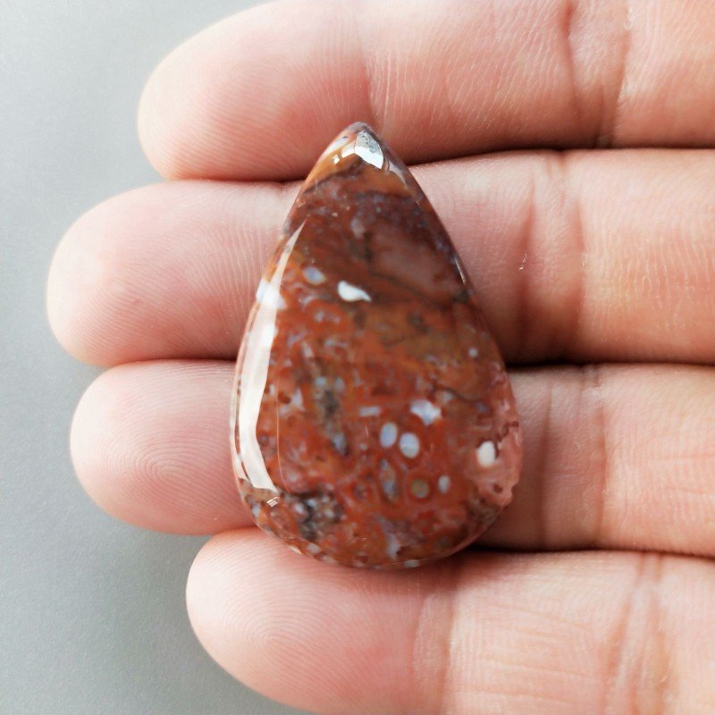 Agata Radice di Palma Naturale Forma Goccia Piatto Cabochon Liscio Fatto a Mano 37X24mm 7.33gm 1pz