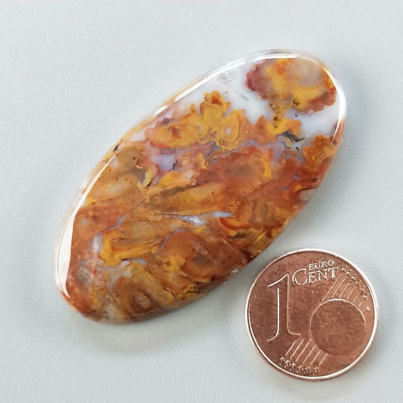 Agata Radice di Palma Naturale Forma Ovale Piatto Cabochon Liscio Fatto a Mano 44X22mm 8.48gm 1pz Agata Radice di Palma Naturale Forma Ovale Piatto Cabochon Liscio Fatto a Mano 44X22mm 8.48gm 1pz