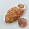 Agata Radice di Palma Naturale Forma Ovale Piatto Cabochon Liscio Fatto a Mano 44X22mm 8.48gm 1pz