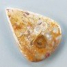 Agata Radice di Palma Naturale Forma Goccia Piatto Cabochon Liscio Fatto a Mano 38X27mm 7.30gm 1pz