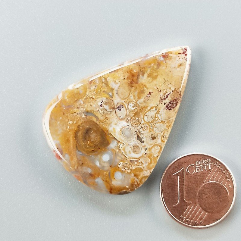 Agata Radice di Palma Naturale Forma Goccia Piatto Cabochon Liscio Fatto a Mano 38X27mm 7.30gm 1pz