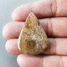 Agata Radice di Palma Naturale Forma Goccia Piatto Cabochon Liscio Fatto a Mano 38X27mm 7.30gm 1pz