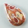 Agata Radice di Palma Naturale Forma Goccia Piatto Cabochon Liscio Fatto a Mano 33X20mm 5.96gm 1pz