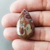Agata Radice di Palma Naturale Forma Goccia Piatto Cabochon Liscio Fatto a Mano 33X20mm 5.96gm 1pz