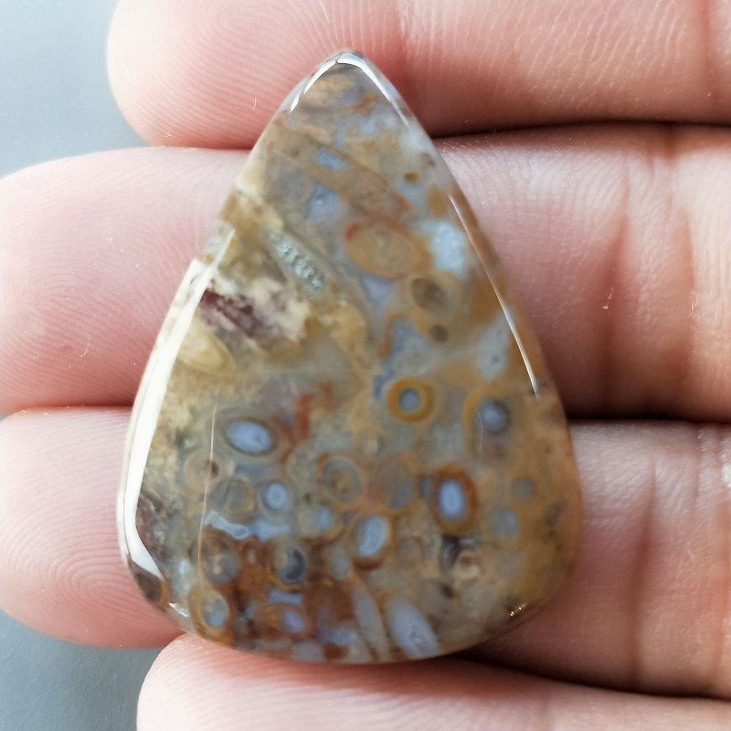 Agata Radice di Palma Naturale Forma Goccia Piatto Cabochon Liscio Fatto a Mano 36X27mm 7.19gm 1pz Agata Radice di Palma Naturale Forma Goccia Piatto Cabochon Liscio Fatto a Mano 36X27mm 7.19gm 1pz