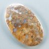 Agata Radice di Palma Naturale Forma Ovale Piatto Cabochon Liscio Fatto a Mano 43X26mm 8.80gm 1pz