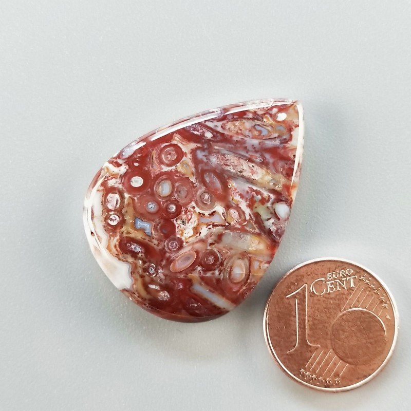 Cabochon di Agata Radice di Palma Naturale Goccia, Piatto e Liscio, 31x24 mm, 6,19 g, Fatto a Mano