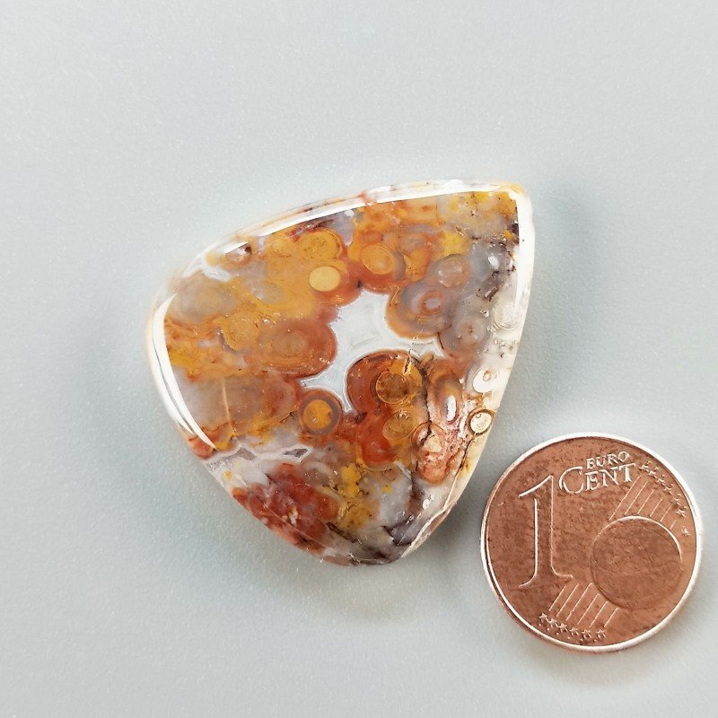 Cabochon di Agata Radice di Palma Naturale Goccia, Piatto e Liscio, 32x27 mm, 7,07 g, Fatto a Mano