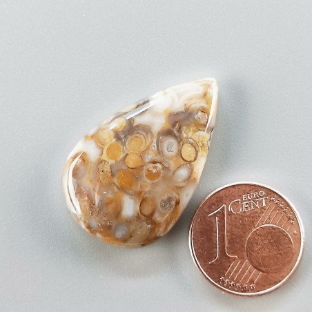 Agata Radice di Palma Naturale Forma Goccia Piatto Cabochon Liscio Fatto a Mano 28X18mm 4.08gm 1pz