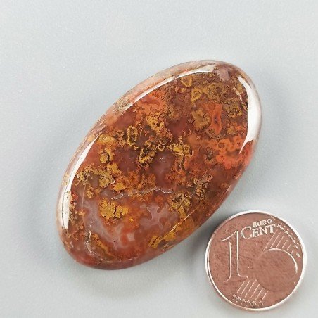Agata Pennacchio Naturale Forma Ovale Piatto Cabochon Liscio Fatto a Mano 40X23X5mm 10,05gm 1pz