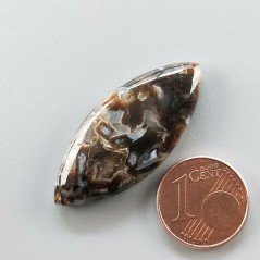 Agata Legno Turchia Naturale Forma Marquise Piatto Cabochon Liscio Fatto a Mano 35X15X5mm 4,70gm  1pz