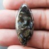 Agata Legno Turchia Naturale Forma Marquise Piatto Cabochon Liscio Fatto a Mano 35X15X5mm 4,70gm 1pz