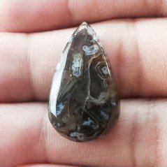 Agata Legno Turchia Naturale Forma Goccia Piatto Cabochon Liscio Fatto a Mano 26X15X6mm 3,60gm 1pz