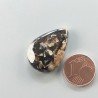 Agata Legno Turchia Naturale Forma Goccia Piatto Cabochon Liscio Fatto a Mano 26X18X5mm 3,90gm 1pz