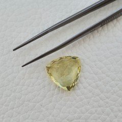 Quarzo Limone Naturale Taglio Trillion Sfaccettato a Mano Gemma Sciolta 17X17X9,6mm 14.05 Carati 1pz Quarzo Limone Naturale Taglio Trillion Sfaccettato a Mano Gemma Sciolta 17X17X9,6mm 14.05 Carati 1pz