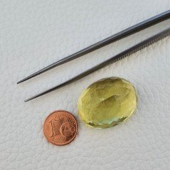 Quarzo Limone Naturale Taglio Ovale Sfaccettato a Mano Gemma Sciolta 28x22x16mm 60,30 Carati 1pz