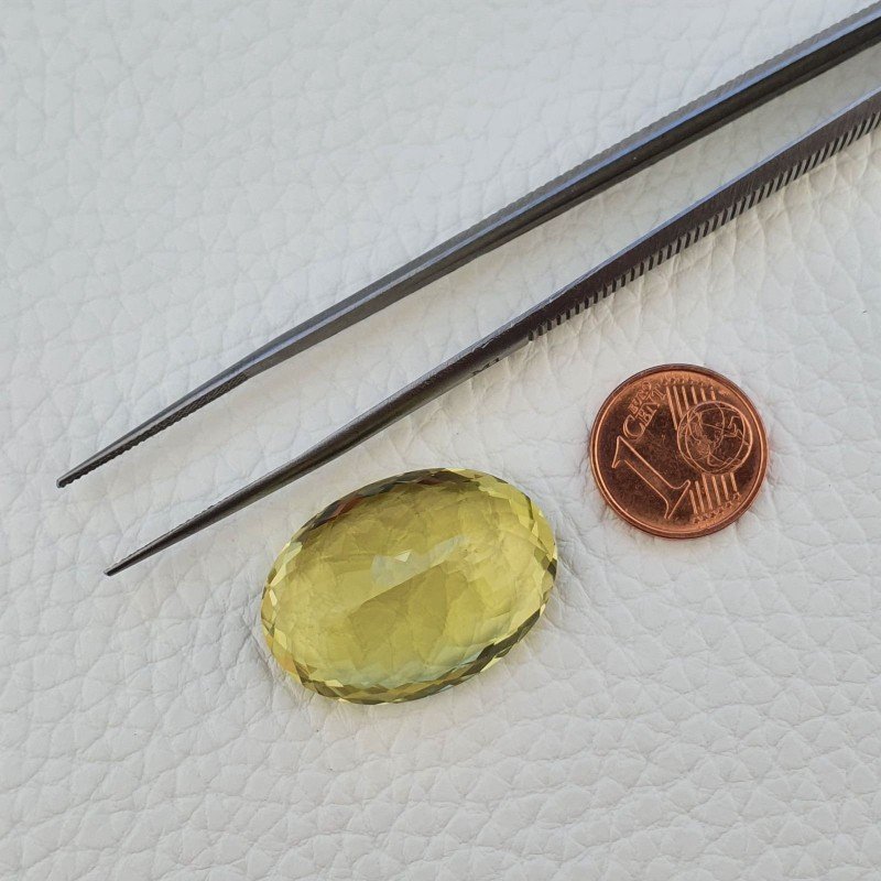 Quarzo Limone Naturale Taglio Ovale Sfaccettato a Mano Gemma Sciolta 28x20x13mm 41,60 Carati 1pz Quarzo Limone Naturale Taglio Ovale Sfaccettato a Mano Gemma Sciolta 28x20x13mm 41,60 Carati 1pz