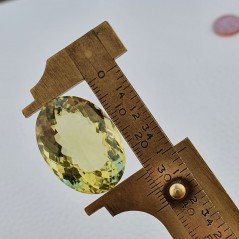 Quarzo Limone Naturale Taglio Ovale Sfaccettato a Mano Gemma Sciolta 28x20x13mm 41,60 Carati 1pz Quarzo Limone Naturale Taglio Ovale Sfaccettato a Mano Gemma Sciolta 28x20x13mm 41,60 Carati 1pz