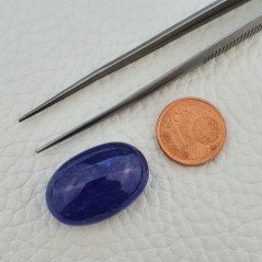 Tanzanite Naturale Forma Ovale Piatto Cabochon Liscio Fatto a Mano 16X24X10mm 35,90 Carati 1pz