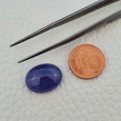 Tanzanite Naturale Forma Ovale Piatto Cabochon Liscio Fatto a Mano 16X13X6mm 13,20 Carati 1pz