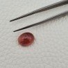 Tormalina Rosa Naturale Forma Ovale Piatto Cabochon Liscio Fatto a Mano12X10X06mm 6,35ct