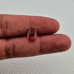 Tormalina Rosa Rubellite Naturale Forma Ovale Piatto Cabochon Liscio Fatto a Mano 12X8X4mm 3,45 ct