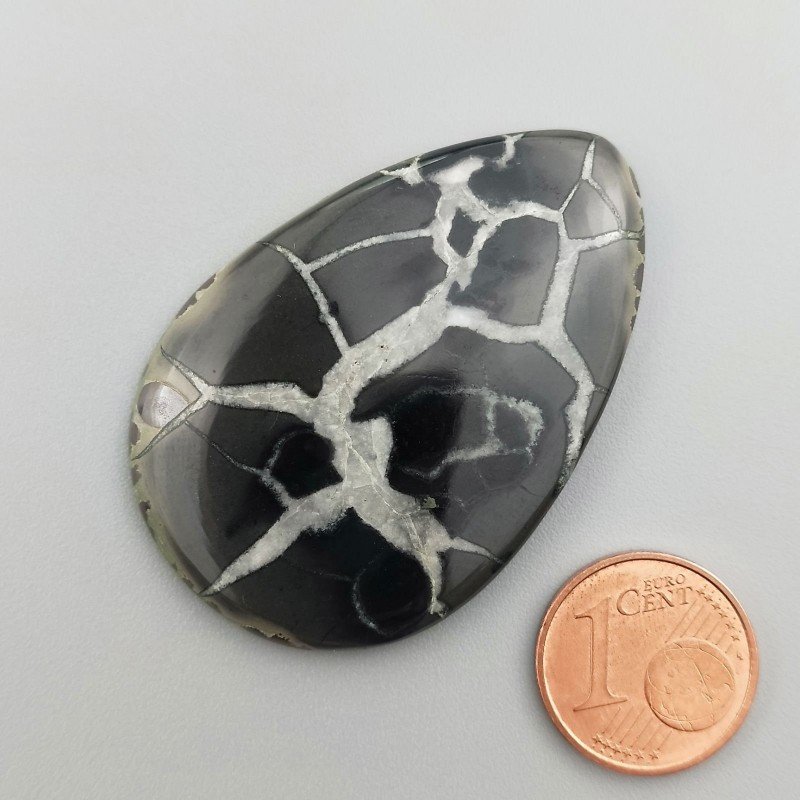 Cabochon di Settario Nero Naturale Goccia, Piatto e Liscio, 46x31x5 mm, 12,61 g, Fatto a Mano