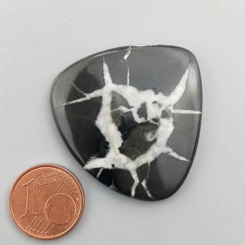 Cabochon di Settario Nero Naturale Cuore, Piatto e Liscio, 36x34x4 mm, 10,44 g, Fatto a Mano