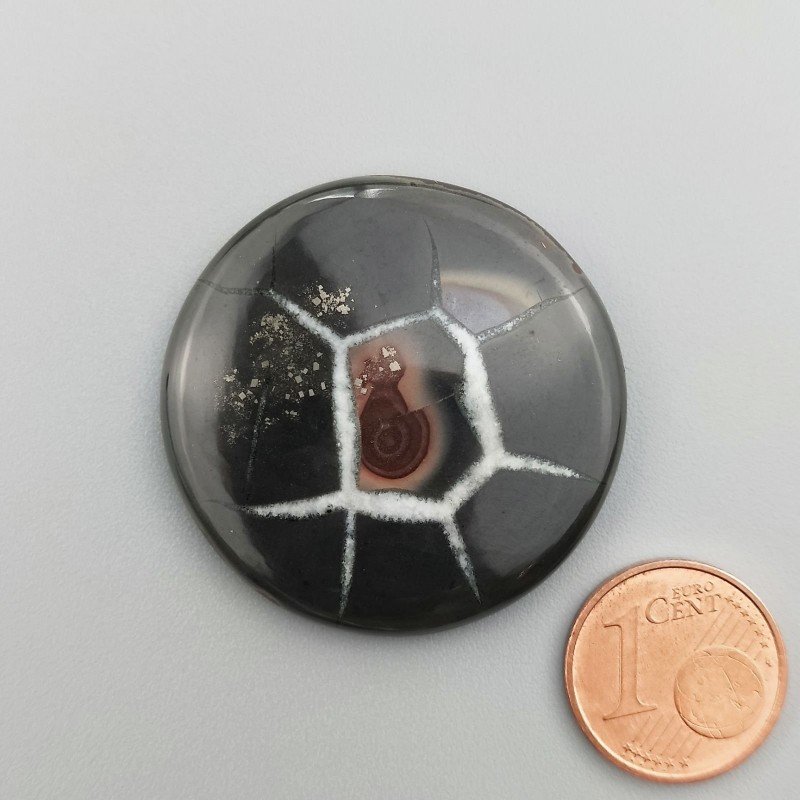 Settario Nero Naturale Forma Tondo Piatto Cabochon Liscio Fatto a Mano 34X34X5mm 11,75GM Settario Nero Naturale Forma Tondo Piatto Cabochon Liscio Fatto a Mano 34X34X5mm 11,75GM
