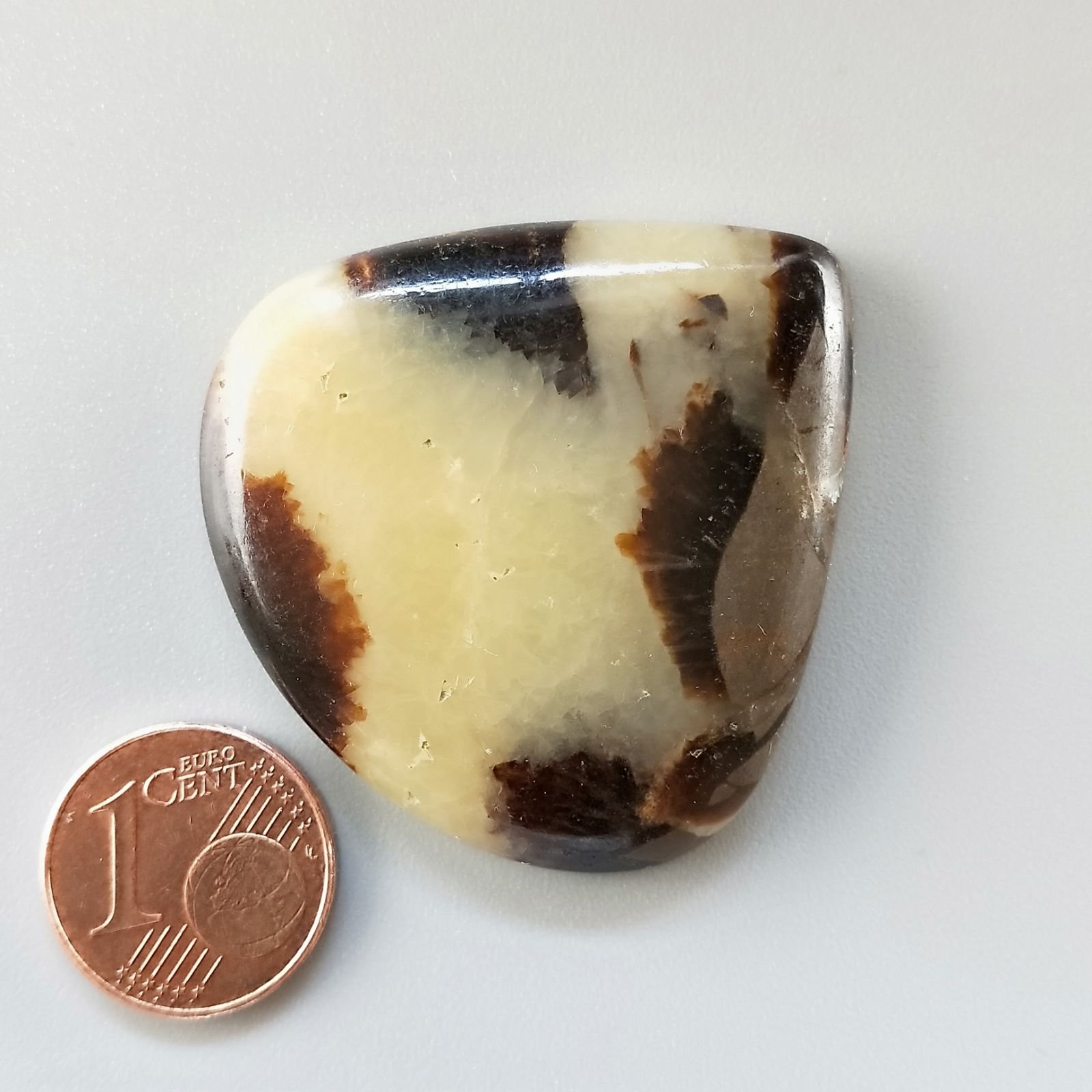 Settario Giallo Naturale Forma Cuore Piatto Cabochon Liscio Fatto a Mano 38X38X7mm 15,90gm 1pz