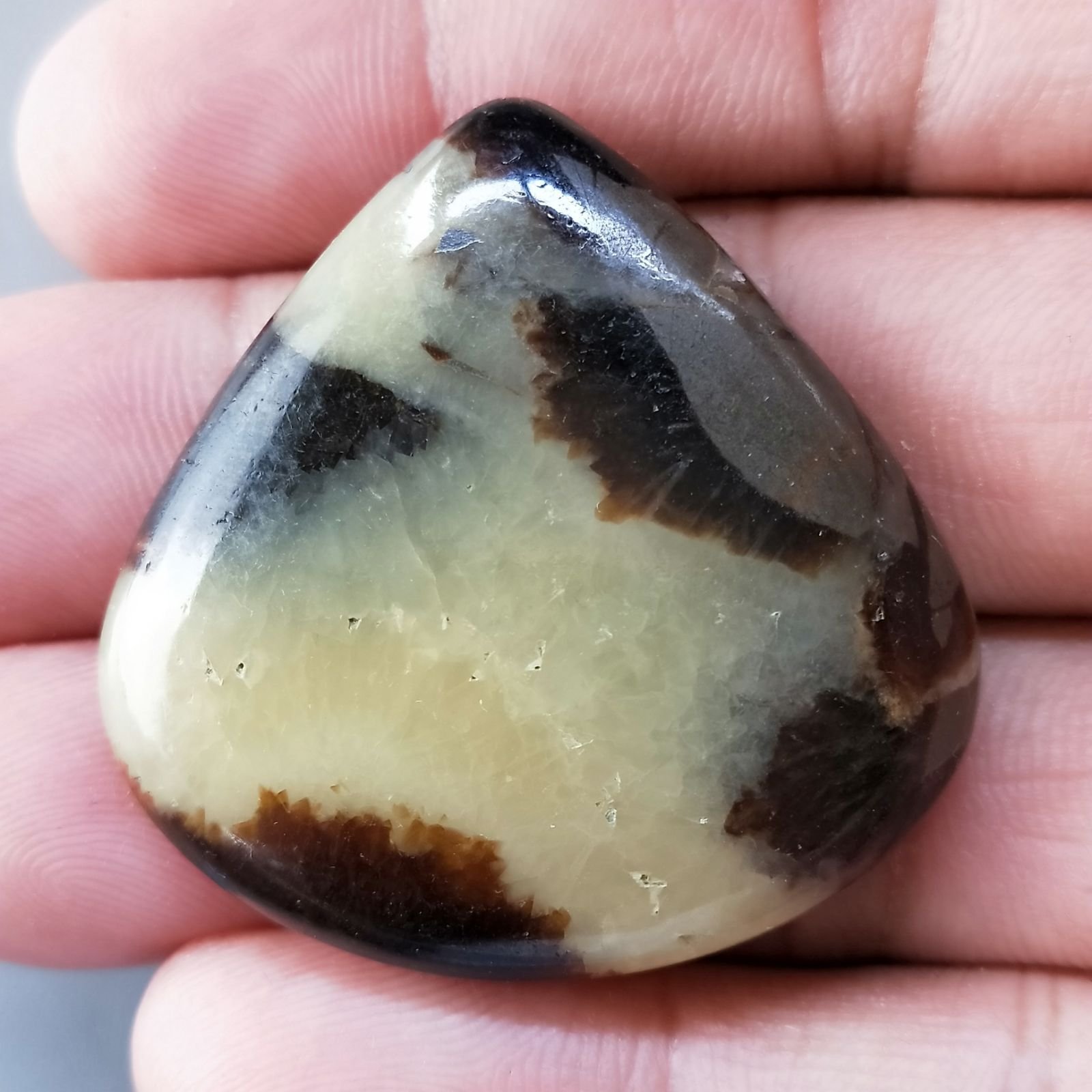Settario Giallo Naturale Forma Cuore Piatto Cabochon Liscio Fatto a Mano 38X38X7mm 15,90gm 1pz