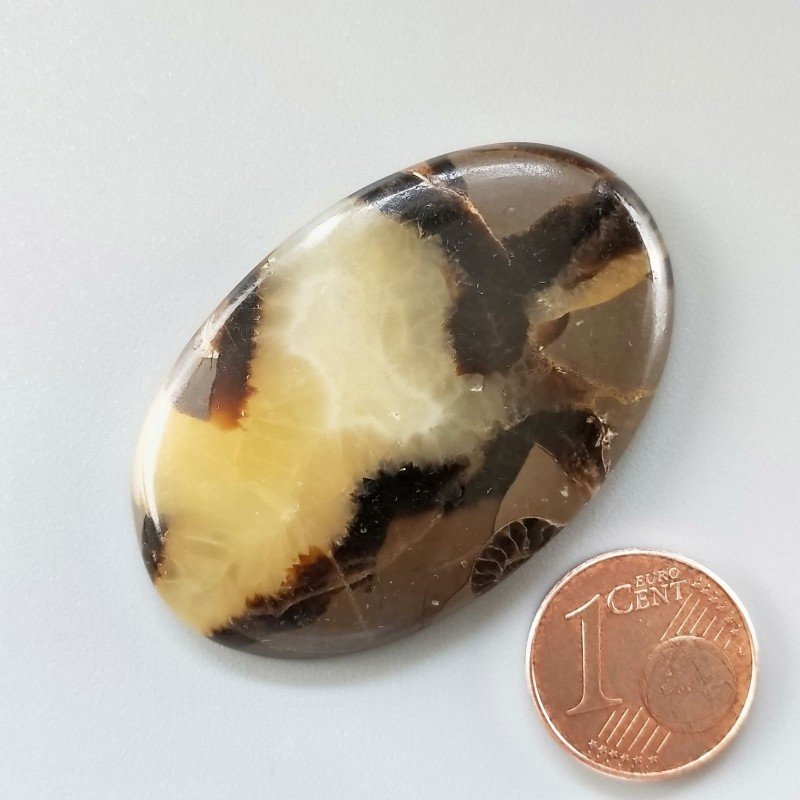 Cabochon di Settario Giallo Naturale Ovale, Piatto e Liscio, 44x28x5 mm, 12,34 g, Fatto a Mano