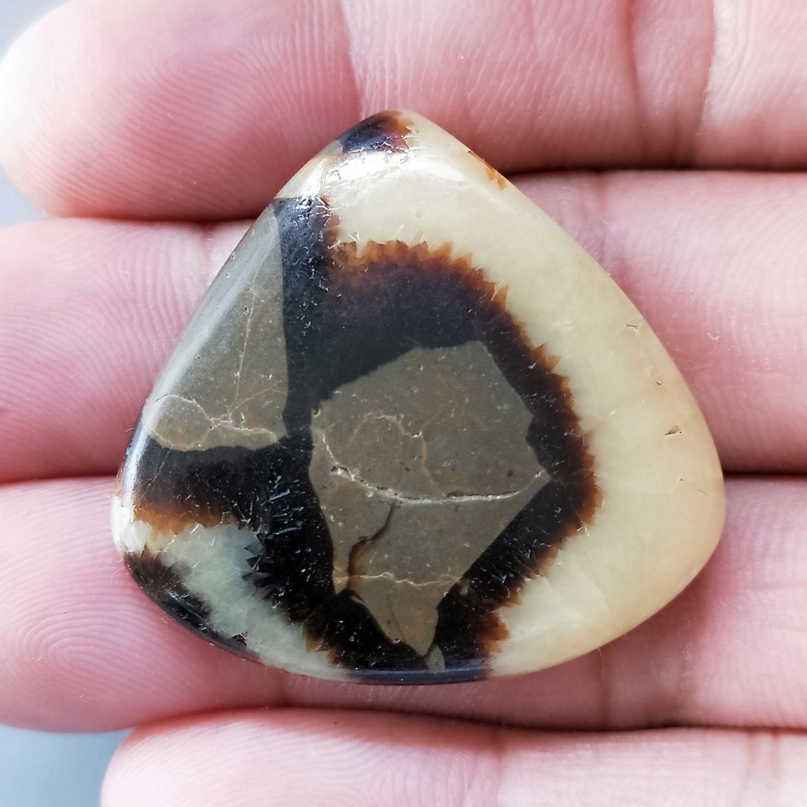 Settario Giallo Naturale Forma Cuore Piatto Cabochon Liscio Fatto a Mano 34X35X6mm 11,04gm 1pz